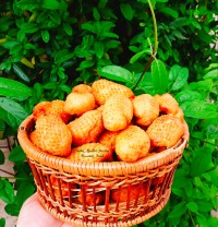 شیرینی بژی
