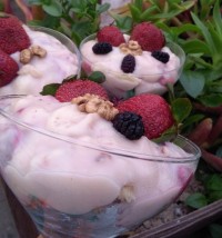 ترایفل گردو و توت فرنگی