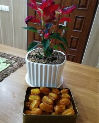 فکر کنم آخرین بامیه ماه رمضان