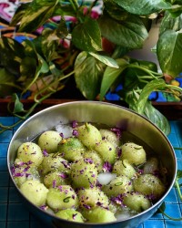 اسکوپ طالبی