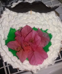 کیک اسفنجی عریان