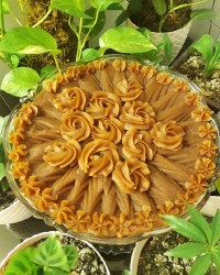 حلوا اردگندم