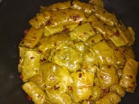 سلام دوستای پاییونی عزیزم حالتون چطوره...