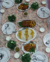 (۲۳۷) زرشک پلوبامرغ