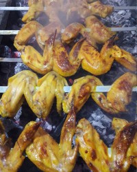 بال کبابی