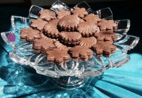 بیسکوییت شکلاتی ساده