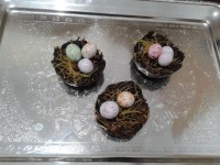 شکلات لانه گنجشک