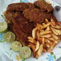 کتلت سویا