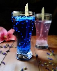 شربت گل پنیرک