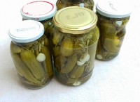 خیارشور یک روزه