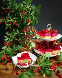 کیک آلبالو کیک_ژله ای