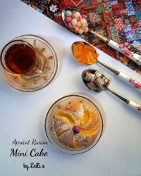 پای کشمش و زردآلو