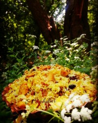 کشمش پلو با مرغ