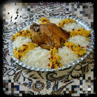 مرغ شکم پــر??