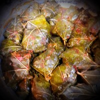 دلمه های من واسه شام