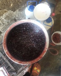 مربا گیلاس و ترشی و کمپوت و شربت