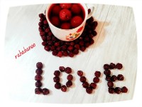 کمپوت گیلاس آلبالو خشکه