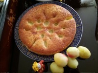 پای زرد آلو