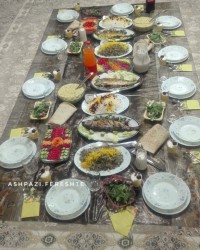 ماهی شکم پر شمالی