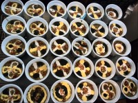 سلام گلای باغ پاپیون...