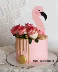 کیک دخترونه