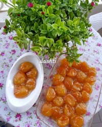 مربای_زرد_آلو_خورشیدی