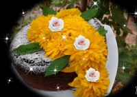 کیک سفارشی امروز