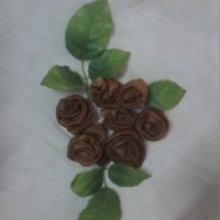 لواشک وآلوچه