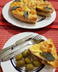 تارت میرزا قاسمی