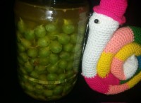 غوره غوره و شور غوره