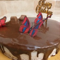 کیک باروکش گاناش و فیلینگ خامه وگردو