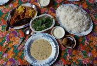 (۲۴۴) خوراک مرغ