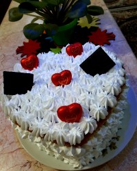 فرم دادن خامه با پودر خامه