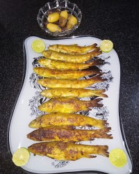 ماهی رودخانه