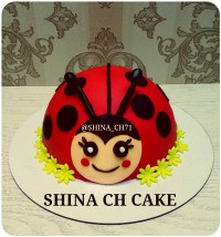 کیک کفش دوزک سفارشی