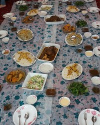 (۲۴۸) مرغ شکم پر