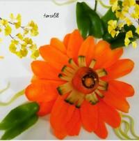 گل نازم با هویج