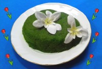 نمک سبز یا درار (فاطمه بانو)