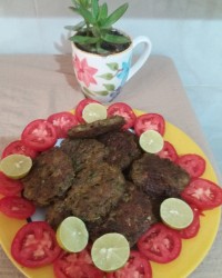 شامی کباب اصیل سنندج