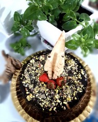 تولد . کیک یخچالی . مهمونی دورهمی خانوادگی . سورپرایز . تولد مادرشوهری .