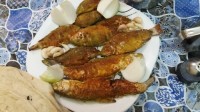 ماهی رود خانه کارون