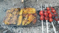 کباب مرغ گریل