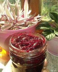 رب آلوچه ی نسترن ساز