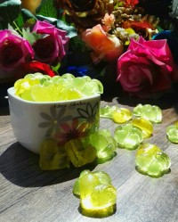 پاستیل خانگی