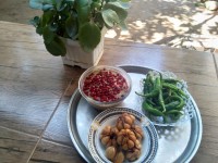 کال کباب (گیلانی جان)