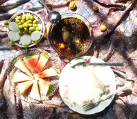 جان جانان قرمه سبزی جان♥️