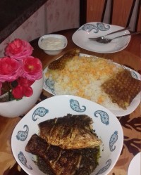 ماهی شکم پر