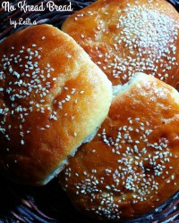 نان بدون ورز دادن