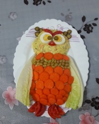 سالادالویه جغد