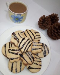 بیسکویت کرمدار